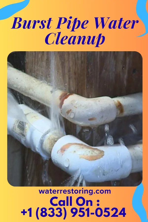 Burst Pipe Water Cleanup in Lehigh, IA