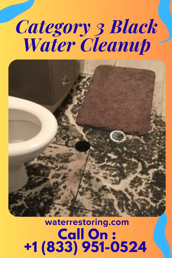 Category 3 Black Water Cleanup in Lehigh, IA