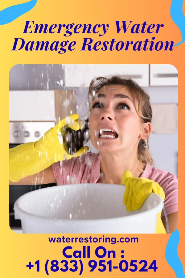 Emergency Water Damage Restoration in Lehigh, IA