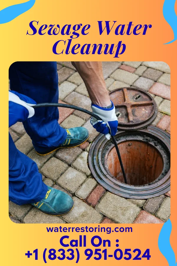 Sewage Water Cleanup in Lehigh, IA